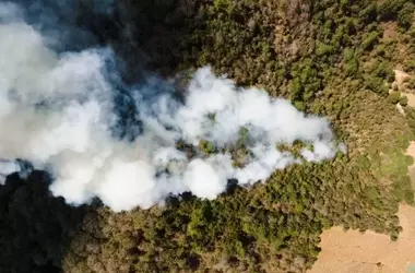 Viver Transforma Sus Tierras Agrícolas en Barreras Cortafuegos para Combatir Incendios