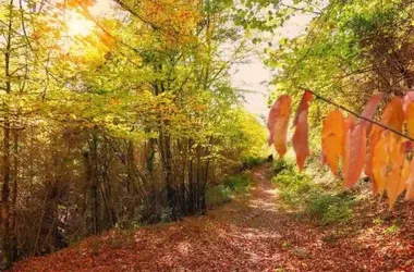 Andalucía Lidera Inversión en Vías Pecuarias