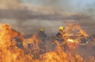 La catástrofe forestal de Niebla: un llamado urgente a la reforestación y la gestión sostenible