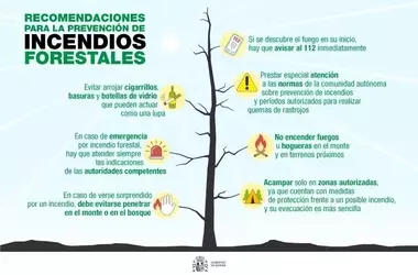 Estrategias de España Frente a Incendios Forestales: Prevención y Apoyo Social