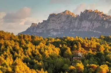 Cataluña Impulsa la Innovación Forestal con una Inversión Millonaria