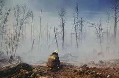 Europa: La Amenaza Creciente de los Megaincendios Forestales
