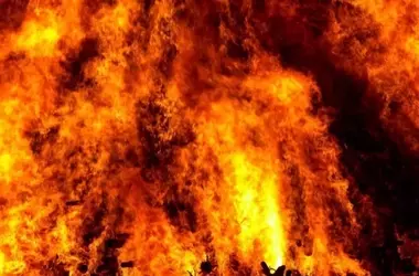 Panorama de los Incendios Forestales en España: Desafíos y Recuperación