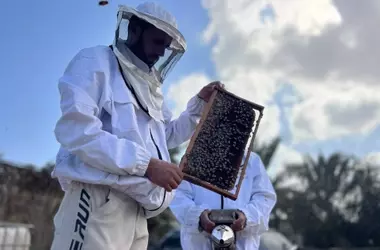 La resiliencia de un apicultor gazat￭ ante la devastaci￳n: "Mis abejas se fueron; los árboles ya no existen"