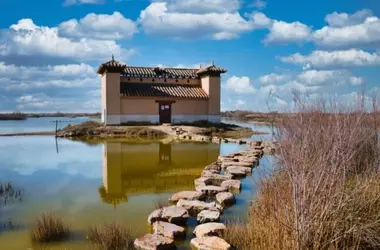 Impacto de las Lluvias Intensas en la Recarga de Acuíferos: Un Estudio en Doñana