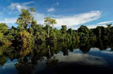 Seguimiento de Buitres: 'Sonórica' Lidera la Conservación de Aves Amenazadas