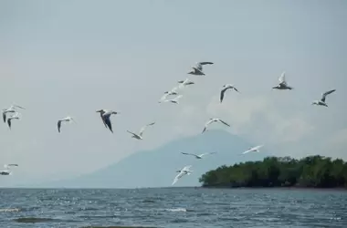 Mesoamérica Acelera Protección Ambiental para 2030