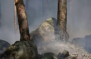 Greenpeace advierte sobre los riesgos posteriores a los incendios: lluvias y cenizas