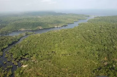 Financiación pública en la Amazonía: Priorizando grandes productores sobre la bioeconomía