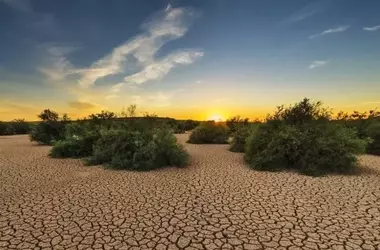 La Restauración de Tierras: Una Inversión Global con Retornos Multimillonarios