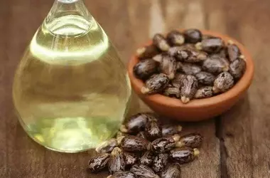 Descubriendo los múltiples beneficios y usos del aceite de ricino