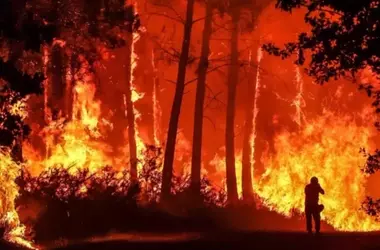 Europa enfrenta una temporada de incendios forestales sin precedentes