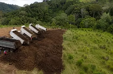 Panorama Ecológico y Sostenible: Retos y Avances en Protección Ambiental