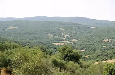 Invertir en Clima y Aire Limpio: La ONU Destaca Retornos de 15 a 1