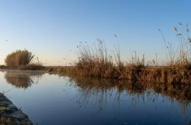 Doñana Transforma su Campo: 8.5 Millones para Agricultura Sostenible que Mitigue la Presión sobre el Agua y los Ecosistemas