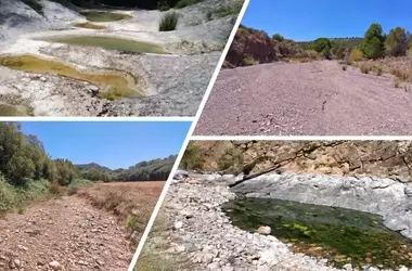 Descubriendo la Vida Oculta: Estudio Profundo de los Ríos Secos y su Biodiversidad
