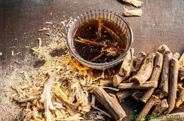 La Regaliz: Una Aliada Natural para la Salud Digestiva y Respiratoria