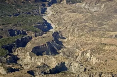 España ante el dilema ecológico: ¿Desertificación o liderazgo ambiental?