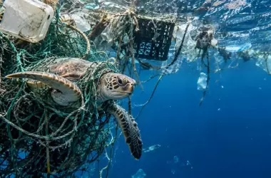 La Verdadera Amenaza del Gran Parche de Basura del Pacífico: La Pesca Fantasma