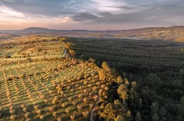 Europa Refuerza su Defensa Climática: La Naturaleza como Escudo Esencial