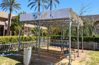Innovación Egipcia: Filtrado Solar de Agua con Nanopartículas de Plata de Olivo