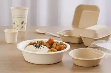 Guía Definitiva para Entender los Envases Desechables: Compostables, Biodegradables y Reciclables