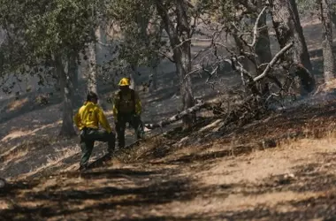 Millonaria Inversión para la Recuperación del Área Incendiada en Niebla