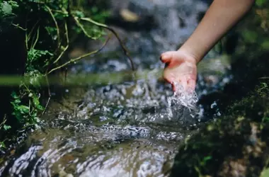 Día Mundial de la Calidad del Agua 2026: El Valor del Análisis Ciudadano