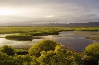 Las Tablas de Daimiel: resiliencia hídrica y recuperación de aves a pesar de la disminución estival