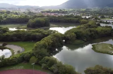 La revitalización de las marismas de Txingudi: un impulso crucial para la biodiversidad
