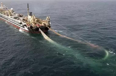 Oceana Demanda Pruebas Concretas para Días Adicionales de Pesca en el Mediterráneo