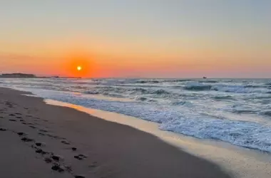 Día Global de las Costas 2026: Una Alerta Urgente para la Protección Marina