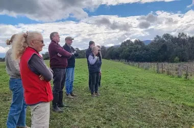Un Tributo Verde: La Transformación de Karst Kreun en Karlindy