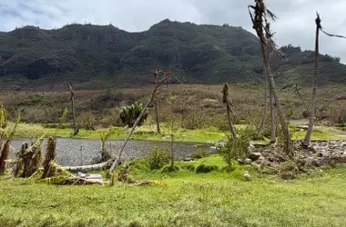 La Resiliencia del Estanque Alakoko: Un Muro Ancestral Frente a la Urbanización y los Huracanes