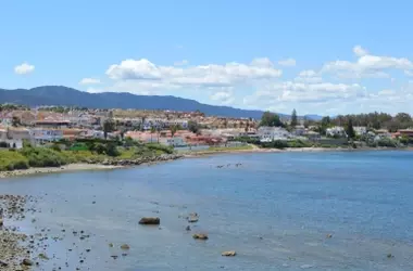 Caballitos de Mar en Baleares: Éxito en la Reintroducción y Proyección Futura