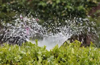 La Extracción Ilegal de Agua en Doñana Persiste: Más de 3.000 Hectáreas Siguen Sometiendo a Presión el Acuífero
