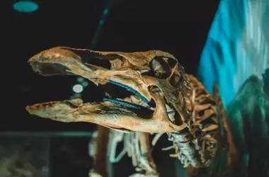 Descubrimiento en Tanzania Reconfigura el Origen de los Dinosaurios