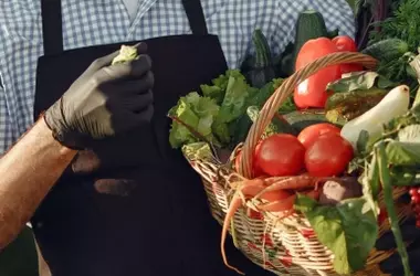 Día Europeo de la Agricultura Ecológica 2026: Compromiso con un Futuro Sostenible