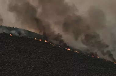 La imperiosa necesidad de gestionar los bosques para prevenir incendios forestales en Madrid