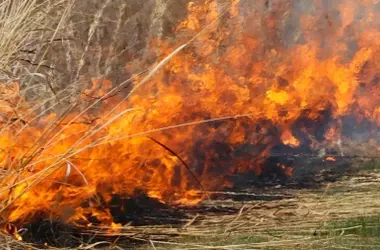 España Enfrenta una Temporada de Incendios Forestales Desastrosa en 2026