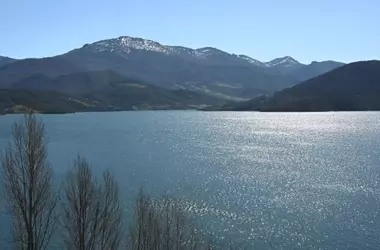 Reservorios Artificiales Superan a Lagunas Naturales como Hábitat Clave para Aves Acuáticas