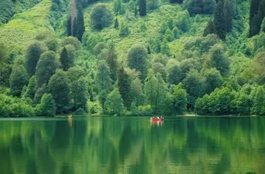 Día Mundial de la Salud Ambiental 2026: Un Llamado a la Acción por el Bienestar del Planeta y la Humanidad