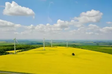 Directivos Europeos Apoyan Mayoritariamente la Transición Verde, Pese a Desafíos Normativos