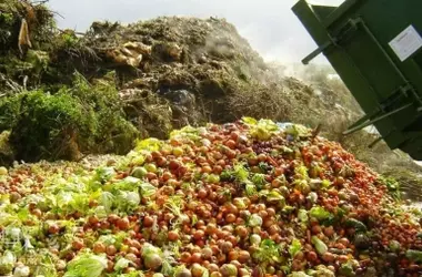 Greenpeace destaca el desperdicio de alimentos: la crisis invisible antes de llegar a los comercios