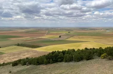 Simbiored: Una Alianza Agrícola Contra el Desperdicio Alimentario