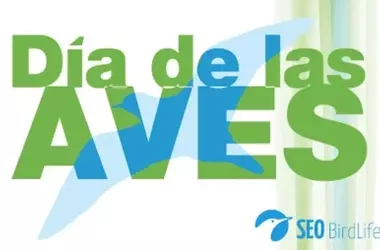Día Mundial de las Aves 2026: Una Alerta sobre el Declive Aviar