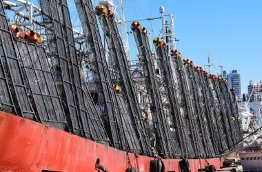 Oceana: La Transparencia Pesquera es Clave para Combatir la Pesca Ilegal