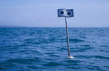 Innovadores dispositivos flotantes y cometas de rapaz: Una solución para la mortalidad de aves marinas en redes de pesca
