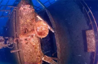 Arrecifes Artificiales de Gibraltar: Un Santuario Marino a partir de Barcos Hundidos