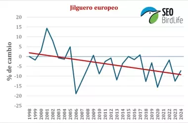 El impactante declive del jilguero en España: Un llamado a la acción ciudadana para la conservación aviar